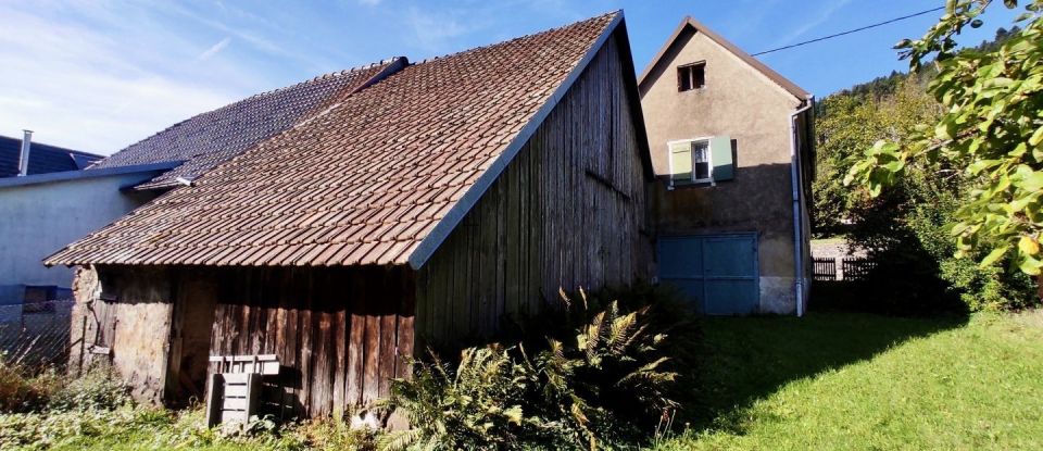 House 7 rooms of 115 m² in Rimbach-près-Masevaux (68290)