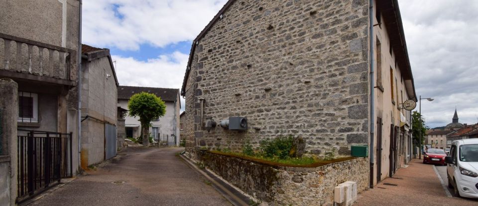 Maison 4 pièces de 230 m² à Sauviat-sur-Vige (87400)