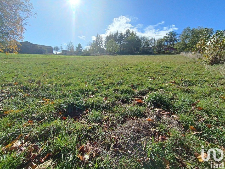 Land of 2,725 m² in Beaux (43200)