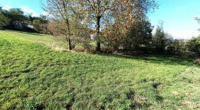 Land of 2,725 m² in Beaux (43200)