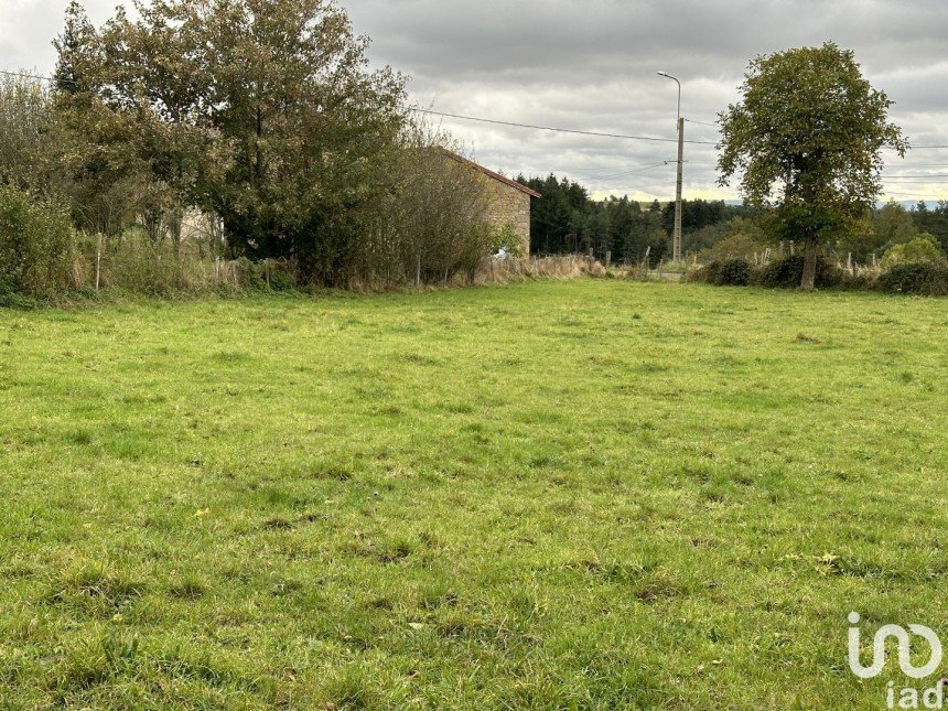 Terrain de 1 050 m² à Rozier-Côtes-d'Aurec (42380)