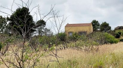 Barn conversion 3 rooms of 240 m² in Bize-Minervois (11120)