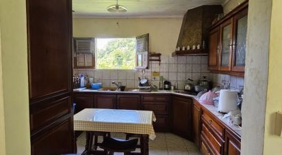 House 6 rooms of 130 m² in Fonds-Saint-Denis (97250)