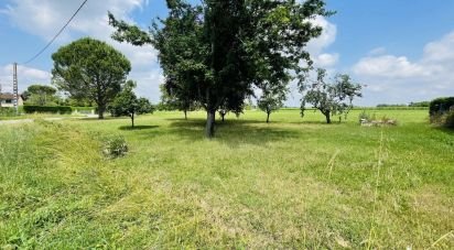 Land of 1,026 m² in Gaillac (81600)
