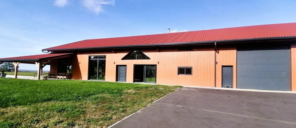 House 10 rooms of 600 m² in Tarbes (65000)