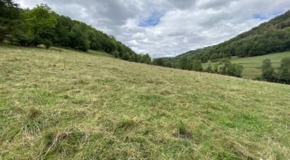 Land of 2,519 m² in Asque (65130)