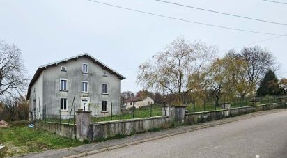 Maison de campagne 6 pièces de 374 m² à Hennezel (88260)