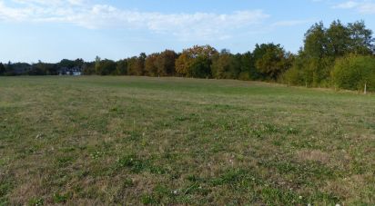 Land of 21,231 m² in Moumour (64400)