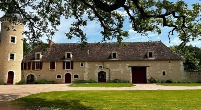 Château 27 pièces de 960 m² à Lureuil (36220)
