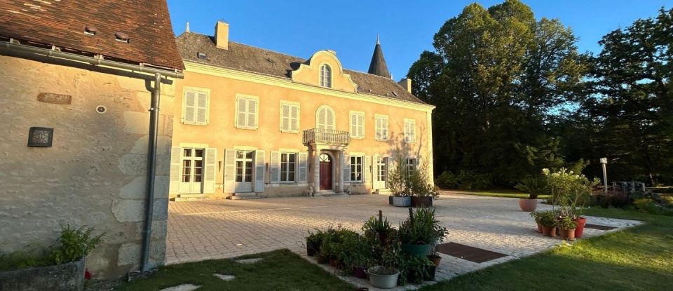 Château 27 pièces de 960 m² à Lureuil (36220)