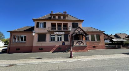 Maison traditionnelle 12 pièces de 296 m² à Elsenheim (67390)