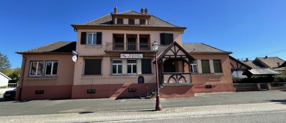 Maison traditionnelle 12 pièces de 296 m² à Elsenheim (67390)