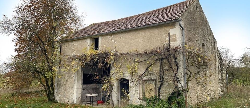 House 13 rooms of 385 m² in Druyes-les-Belles-Fontaines (89560)