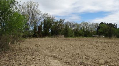 Land of 701 m² in Sigean (11130)
