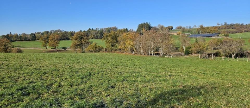 Land of 18,565 m² in - (15340)