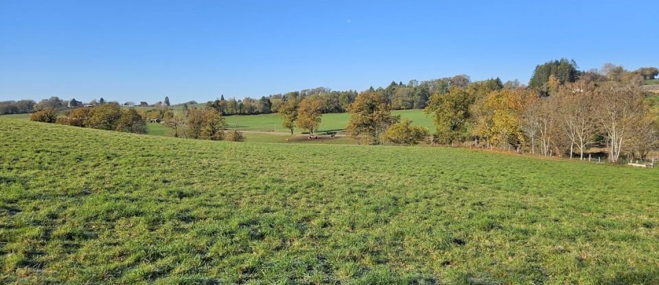 Land of 18,565 m² in - (15340)
