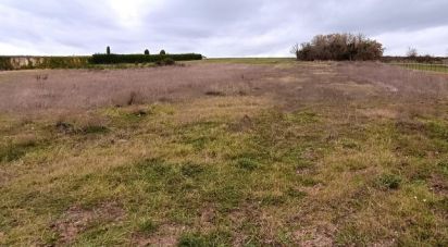 Land of 1,234 m² in Chisseaux (37150)