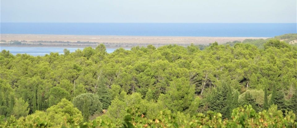 Land of 120,000 m² in Sigean (11130)