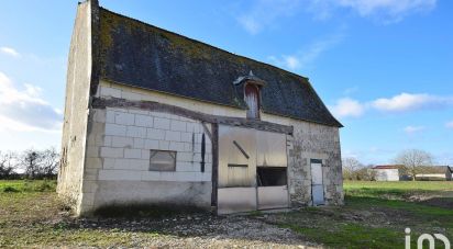 Barn conversion 3 rooms of 90 m² in Manthelan (37240)
