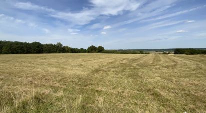 Land of 6,280 m² in Maray (41320)