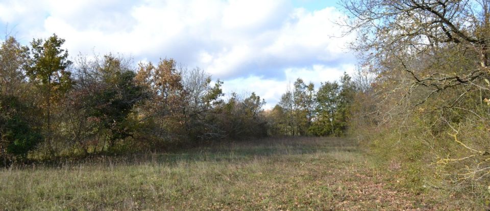 Land of 2,398 m² in Le Blanc (36300)