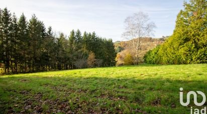 Land of 2,891 m² in Olliergues (63880)