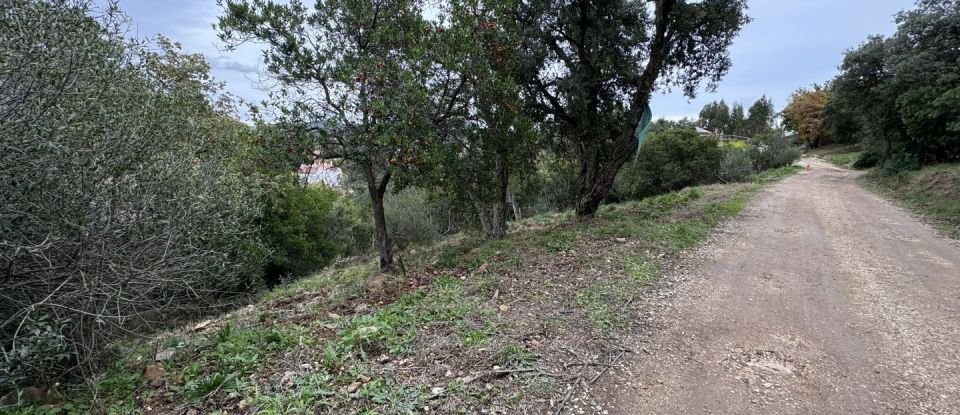 Land of 2,110 m² in Carqueiranne (83320)