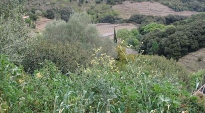 Land of 3,783 m² in Banyuls-sur-Mer (66650)