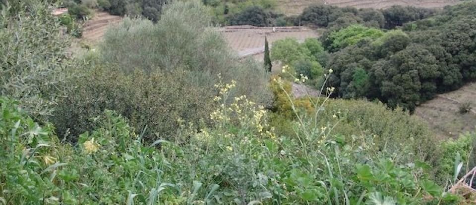 Land of 3,783 m² in Banyuls-sur-Mer (66650)