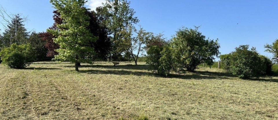 Land of 2,468 m² in Billy-Chevannes (58270)