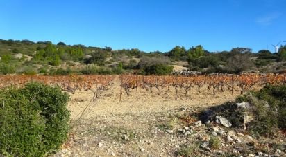 Land of 7,180 m² in Fitou (11510)