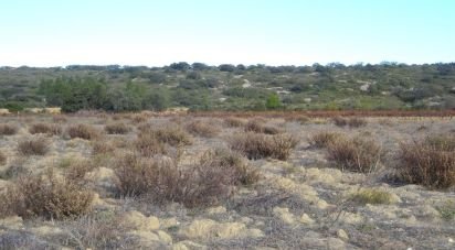 Land of 29,590 m² in Fitou (11510)