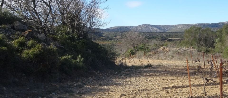 Land of 8,850 m² in Fitou (11510)