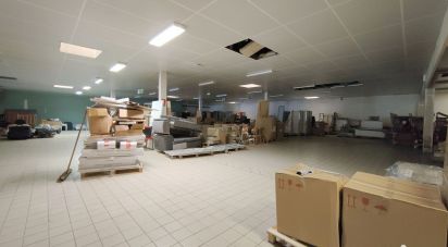 Commercial walls of 2,442 m² in Herchies (60112)