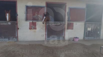 Equestrian facility 8 rooms of 150 m² in Saint-Cyr-sur-Morin (77750)