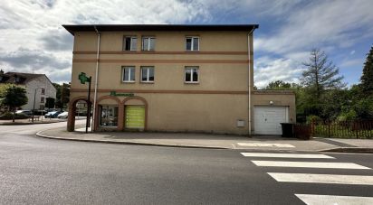 Retail property of 288 m² in Étival-Clairefontaine (88480)