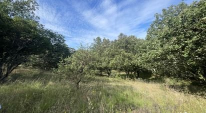 Land of 6,856 m² in Lagorce (07150)