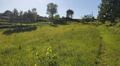 Land of 3,175 m² in Planioles (46100)