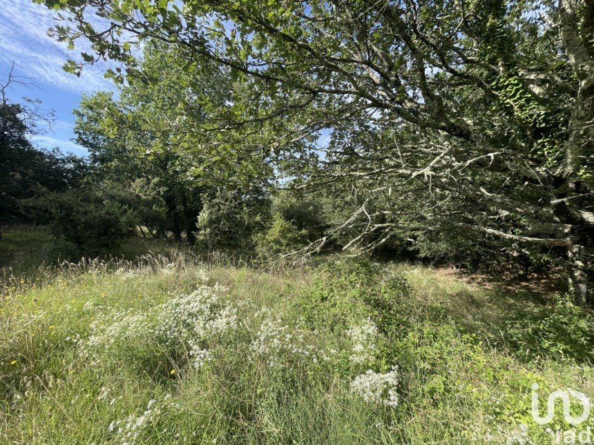 Land of 4,376 m² in Lagorce (07150)