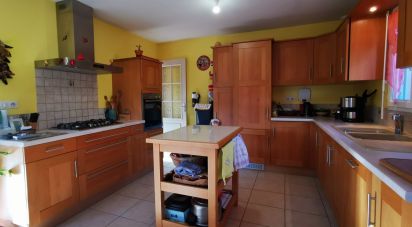 House 5 rooms of 121 m² in Châteauneuf-de-Randon (48170)