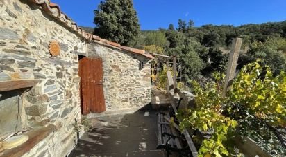 House 5 rooms of 168 m² in Calmeilles (66400)