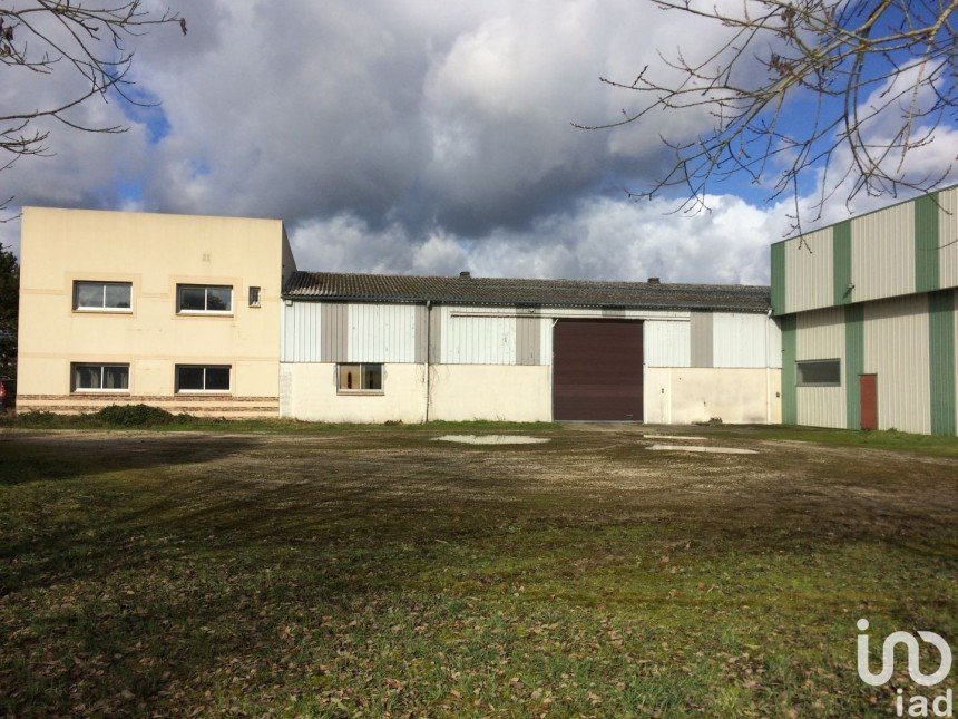 Commercial walls of 1,449 m² in Saint-Pierre-lès-Nemours (77140)