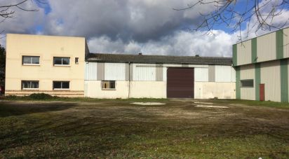 Commercial walls of 1,449 m² in Saint-Pierre-lès-Nemours (77140)