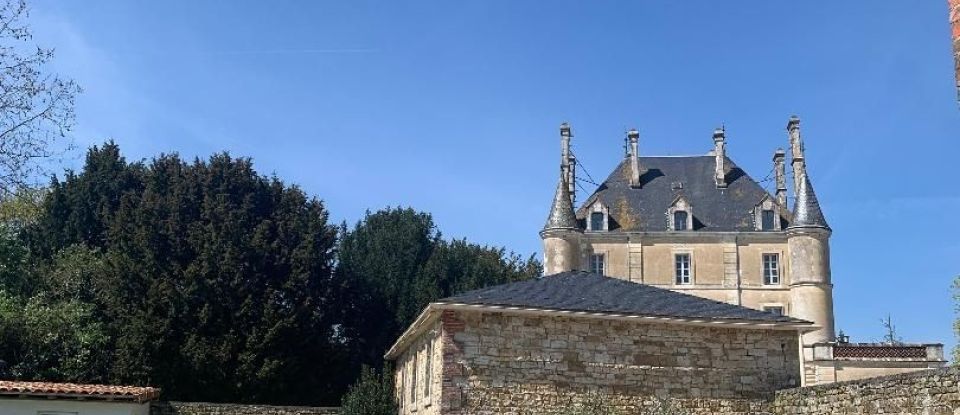 Château 18 pièces de 850 m² à Chantonnay (85110)