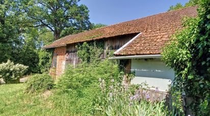 Barn conversion 4 rooms of 168 m² in Courtenay (45320)