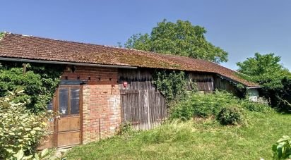 Barn conversion 4 rooms of 168 m² in Courtenay (45320)