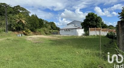 Land of 1,180 m² in Petit-Bourg (97170)