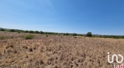 Land of 10,140 m² in Roujan (34320)