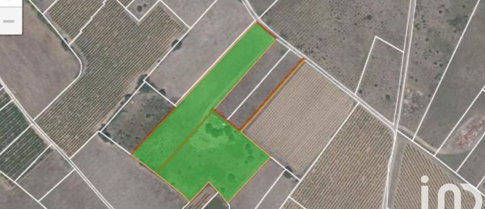 Terrain de 10 140 m² à Roujan (34320)