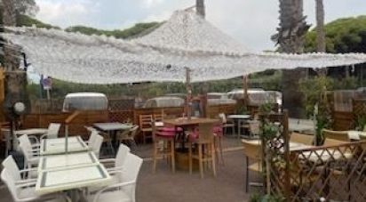 Restaurant of 120 m² in Agde (34300)